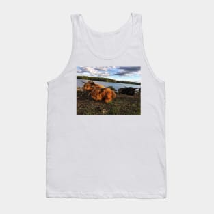 Scottish Highland Cattle Bulls 1790 Tank Top